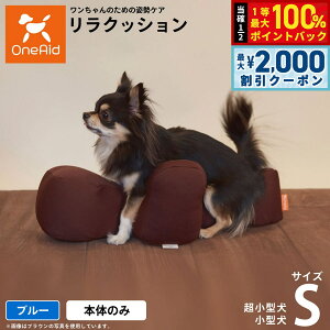 y12/5II100|CgobNő2000~OFFN[|zNbV ybg S u[ OneAid p Lp  pi xbh p菬^p