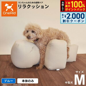 y12/5II100|CgobNő2000~OFFN[|zNbV ybg M u[ OneAid p  pi xbh p蒆^p