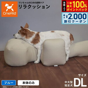 y12/5II100|CgobNő2000~OFFN[|zNbV ybg DL u[OneAid p  pi xbh p蒆^Zp