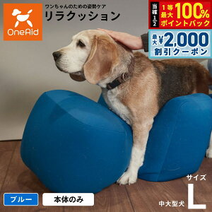 y12/5II100|CgobNő2000~OFFN[|zNbV ybg L u[ OneAid p  pi xbh p蒆^`^p