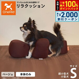 y12/5II100|CgobNő2000~OFFN[|zNbV ybg S x[W OneAid p Lp  pi xbh p菬^p