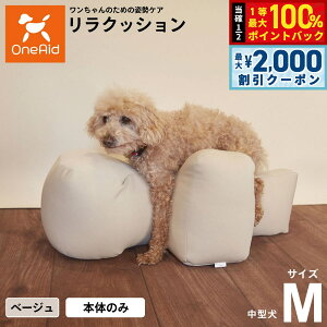 y12/5II100|CgobNő2000~OFFN[|zNbV ybg M x[W OneAid p  pi xbh p ^p