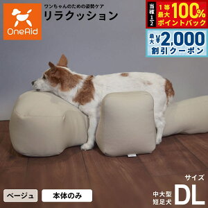 y12/5II100|CgobNő2000~OFFN[|zNbV ybg DL x[W OneAid p  pi xbh p ^Zp