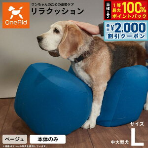 y12/5II100|CgobNő2000~OFFN[|zNbV ybg L x[W OneAid p  pi xbh p ^`^p