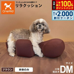 y12/5II100|CgobNő2000~OFFN[|zNbV ybg DM uE OneAid p  pi xbh p ^Zp