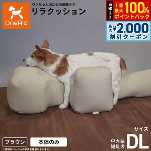 y12/5II100|CgobNő2000~OFFN[|zNbV ybg DL uE OneAid p  pi xbh p ^Zp