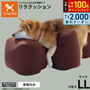 y12/5II100|CgobNő2000~OFFN[|zOneAid NbV ybg `R[O[ LL p  pi xbh p ^p