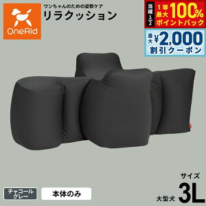 y12/5II100|CgobNő2000~OFFN[|zOneAid GCh NbV 3L `R[O[yzp  pi xbh p ^p