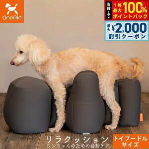 y12/5II100|CgobNő2000~OFFN[|zGCh OneAid NbV gCv[h TCY `R[O[ p  pi xbh p ^p