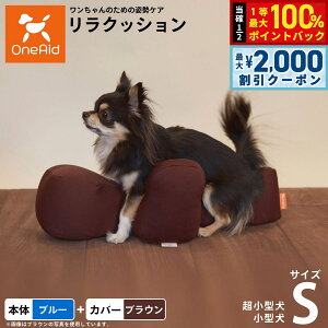 y12/5II100|CgobNő2000~OFFN[|zOneAid NbV Jo[Zbg S u[ p Lp  pi xbh p ^p