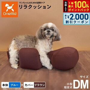 y12/5II100|CgobNő2000~OFFN[|zOneAid NbV Jo[Zbg DM u[yz p  pi xbh p ^Zp