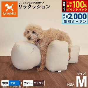 y12/5II100|CgobNő2000~OFFN[|zOneAid NbV Jo[Zbg M u[yz p  pi xbh p ^p