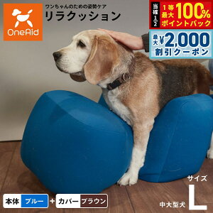 y12/5II100|CgobNő2000~OFFN[|zOneAid NbV Jo[Zbg L u[yz p  pi xbh p ^?^p