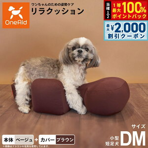 y12/5II100|CgobNő2000~OFFN[|zOneAid NbV Jo[Zbg DM x[Wyz p  pi xbh p ^Zp