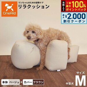 y12/5II100|CgobNő2000~OFFN[|zOneAid NbV Jo[Zbg M x[Wyz p  pi xbh p ^p