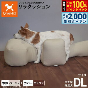 y12/5II100|CgobNő2000~OFFN[|zOneAid NbV Jo[Zbg DL x[Wyz p  pi xbh p ^Zp