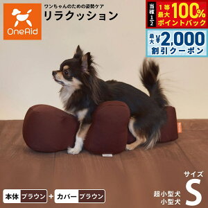 y12/5II100|CgobNő2000~OFFN[|zOneAid NbV Jo[Zbg S uEyz p Lp  pi xbh p ^p