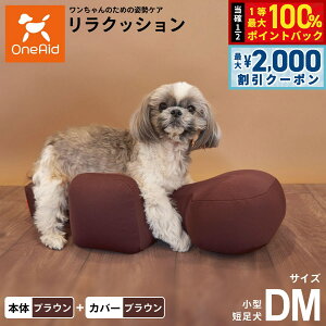 y12/5II100|CgobNő2000~OFFN[|zOneAid NbV Jo[Zbg DM uEyz p  pi xbh p ^Zp