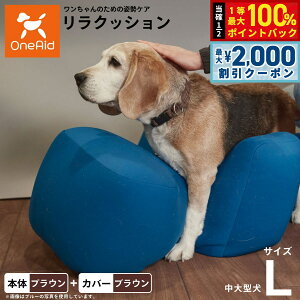 y12/5II100|CgobNő2000~OFFN[|zOneAid NbV Jo[Zbg L uEyz p  pi xbh p ^?^p