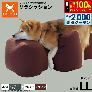 y12/5II100|CgobNő2000~OFFN[|zOneAid NbV Jo[Zbg LL `R[O[yz p  pi xbh p ^p