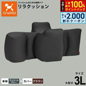 y12/5II100|CgobNő2000~OFFN[|zOneAid GCh NbV Jo[Zbg 3L `R[O[yzp  pi xbh p 