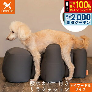 y12/5II100|CgobNő2000~OFFN[|zGCh OneAid NbV Jo[Zbg gCv[h TCY `R[O[ p  pi xbh p