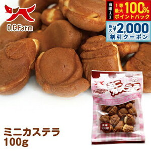 y12/10II100|CgobNő2000~OFFN[|zI[V[t@[ p ~jJXe 100g   XibN Y Y