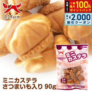 y12/10II100|CgobNő2000~OFFN[|zI[V[t@[ p ~jJXe ܂ 90g   XibN Y Y