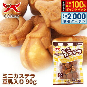 y12/10II100|CgobNő2000~OFFN[|zI[V[t@[ p ~jJXe  90g   XibN Y Y