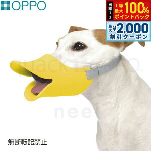 y12/5II100|CgobNő2000~OFFN[|zOPPO quackiNAbNj LTCY pi ցi݂ ʖih~j/GUxXJ[