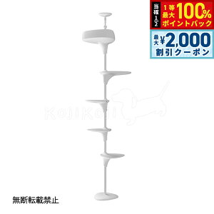 y12/5II100|CgobNő2000~OFFN[|zyr[TzOPPO Ib| Lbg^[ ˂ X ȃXy[X LbgtHXg c[ CatForest-2  z