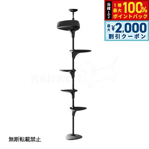 y12/5II100|CgobNő2000~OFFN[|zyr[TzOPPO Ib| Lbg^[ ˂ X ȃXy[X LbgtHXg c[ CatForest-2  u