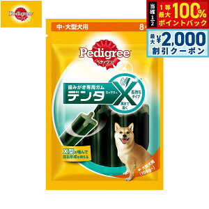 y12/5II100|CgobNő2000~OFFN[|zyfBO[ pXibN  ^p f^GbNX M[ 8{ f^PA