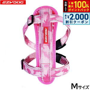 y12/10II100|CgobNő2000~OFFN[|zC[W[hbO EZYDOG n[lX M sNJyz `FXgv[g   ^