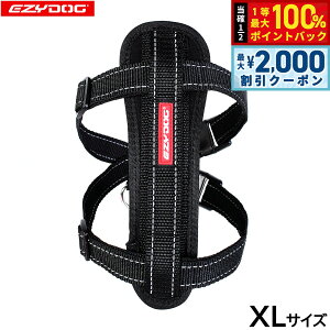 y12/5II100|CgobNő2000~OFFN[|zC[W[hbO EZYDOG n[lX XL ubNyz `FXgv[g   ^