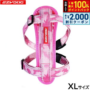 y12/5II100|CgobNő2000~OFFN[|zC[W[hbO EZYDOG n[lX XL sNJyz `FXgv[g   ^