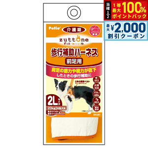 y12/5II100|CgobNő2000~OFFN[|zyeBI zuttone Vp s⏕n[lX OpK 2L R L 