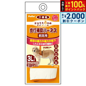 y12/10II100|CgobNő2000~OFFN[|zyeBI zuttone Vp s⏕n[lX OpK 3Lyz R L 