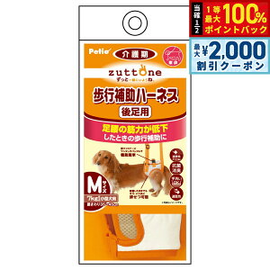 y12/5II100|CgobNő2000~OFFN[|zyeBI zuttone Vp s⏕n[lX 㑫pK M R L 