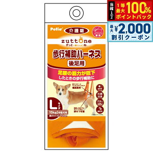 y12/5II100|CgobNő2000~OFFN[|zyeBI zuttone Vp s⏕n[lX 㑫pK L R L 