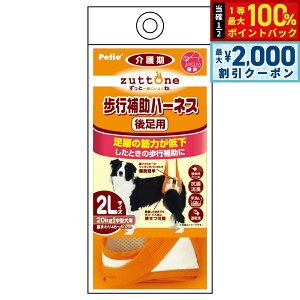 y12/5II100|CgobNő2000~OFFN[|zyeBI zuttone Vp s⏕n[lX 㑫pK 2L R L 