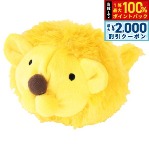 y12/5II100|CgobNő2000~OFFN[|zybc[g p łY[Y[ CI