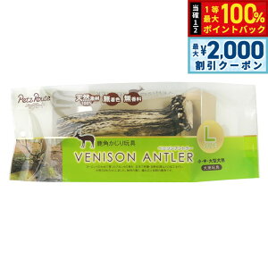 y12/10II100|CgobNő2000~OFFN[|zybc[g xj\Ag[ L p  ̊p