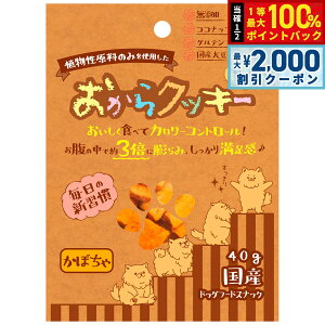 y12/10II100|CgobNő2000~OFFN[|zybc[g NbL[ ڂ 40g   Y Y  J[ Oet[ H@ Ă