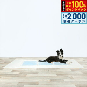 y12/10II100|CgobNő2000~OFFN[|znbs[fCY HappyDays 􂦂LhV[g LL  L L R h Y gC   ېOK yz