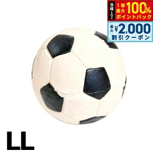 y12/10II100|CgobNő2000~OFFN[|zR LANCO TbJ[{[ LL   ebNXgC {[  _炩