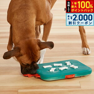 y12/5II100|CgobNő2000~OFFN[|zj[i Ibg\ mgC g[c Q[ JWm  L m[Y[NgC