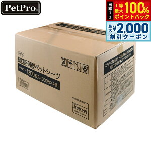 y12/10II100|CgobNő2000~OFFN[|zybgv Ɩp^ybgV[c M[ 1200yz pgCV[c