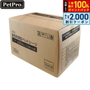 y12/10II100|CgobNő2000~OFFN[|zybgv Ɩp^ybgV[c Ch 600yz pgCV[c