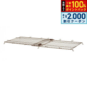 y12/5II100|CgobNő2000~OFFN[|zb`F Richell ؐXChybgT[N Ch   T[N p[c ̂ P[W  яoh~ ^